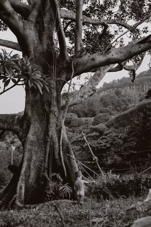 Item #69040073891214831280886932424473030374567714809406336965471043855684867194881 Media