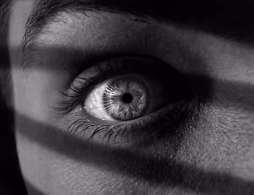 Item #83078762740139376938718327427233199779928808493802448471748731819754581393409 Media