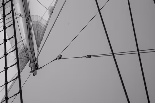 Item #34110083671509346653453586160941404072216291014688644284046702328509536141313 Media