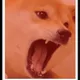 87658995465972837724015532693198563092405696167559381658075065713209167052801