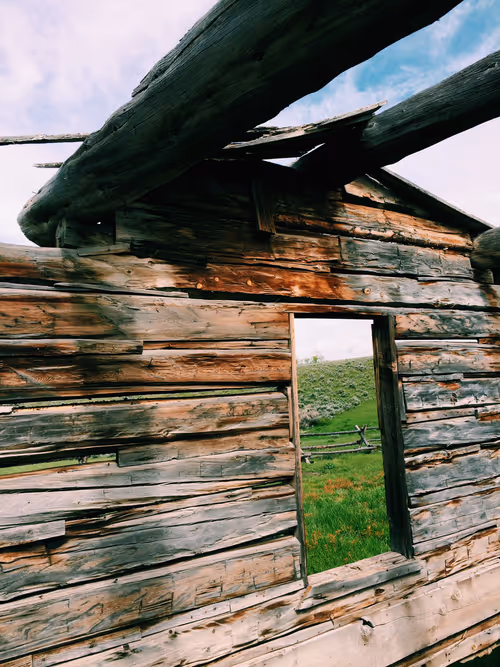 Item #38636187015463482433691281492566122321376547079854942751404297976205105168385 Media