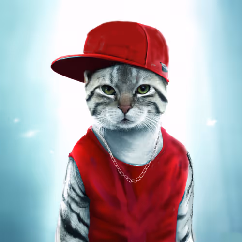 Worldofcatsclub