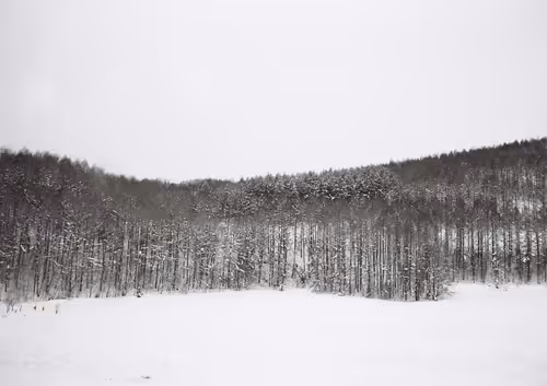 Item #58423878245632795506730098938038129248179403695899608583571277772409112887297 Media