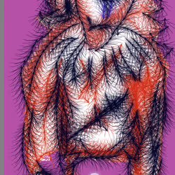 57188514280809533129288607857310155131706757681778650921855896073749733048321