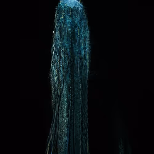 Item #81423580408588551200801073682850784470757564812203159627046902699981417742337 Media