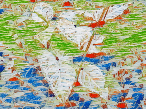 Item #69261177602478584146078213691104273677815526894191982293268527745192186347521 Media