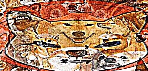 Lange-Ron Collection