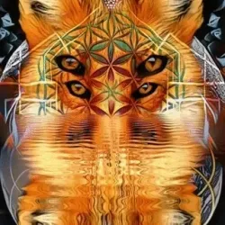 Psy Art #11