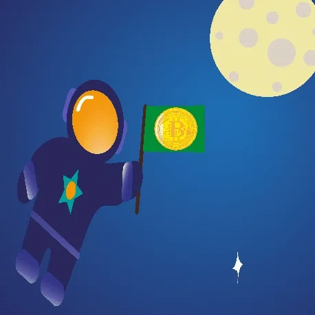 Bitcoin mooning #1 | Cryptonique