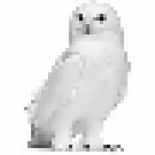 Item #35132558306005666945989237054941300939245987658462459495312623065758846418945 Media