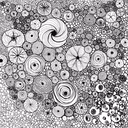 Flower Garden
