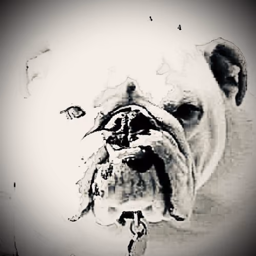 Bully