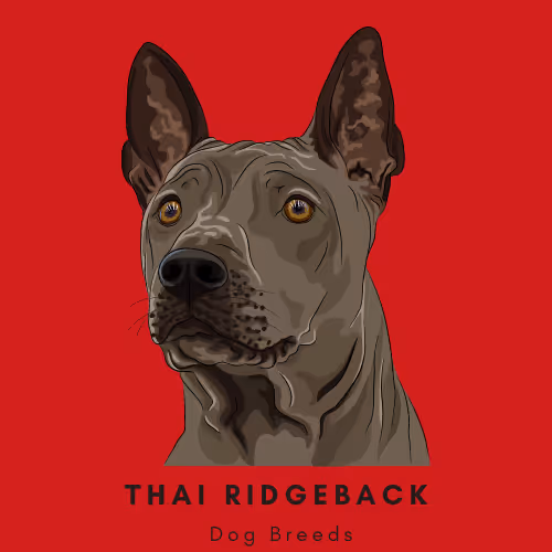 Item #102435799496306094734793923269386745647945406749022464082574321258693423792129 Media