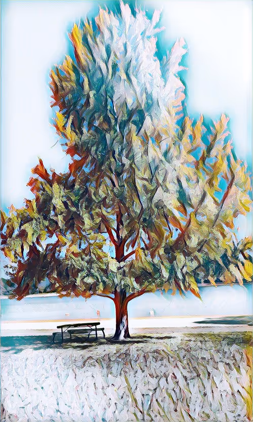 Item #58187110691522992295921100440099975035028125938880026507621860028523527274497 Media