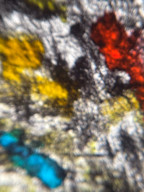 Item #51615793966845007466236624269492184351511549192803569430490019637265203986433 Media