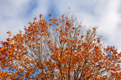 Item #19684374529110288056520570276703370007863893692966726326193838104199766736897 Media