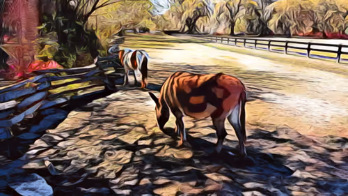 Item #40767780505199480056822134959254116882416403955440335398043331432333719896065 Media