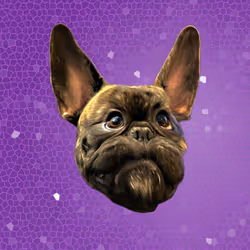 Otis Magoatis - Space Time Continuum Purple