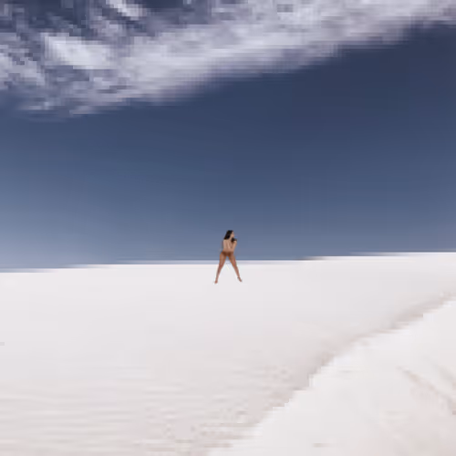 Nude Pixels in Nature_004