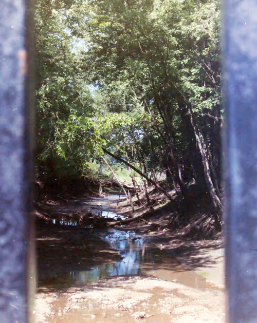 Item #102681073820549918018156706383720612658195698549287552323172903092848280207361 Media