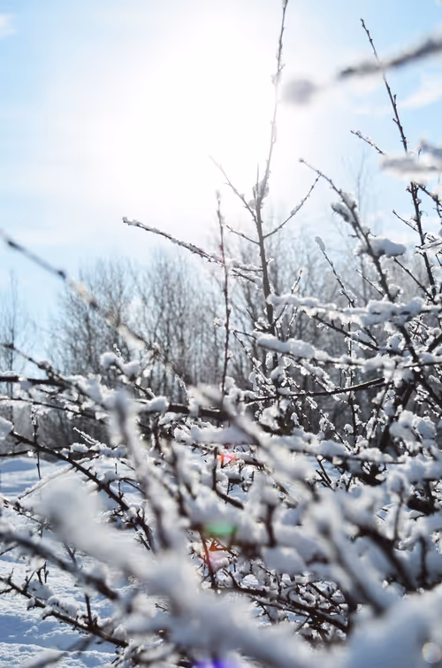 Item #109181969886910080961609630366869901486383168267921438753187274405391944908801 Media