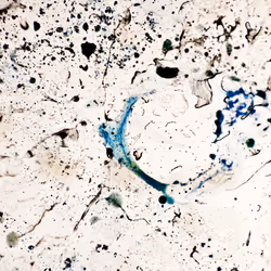 9251341193756129610411101804839683921415719585297066577807806950213635014657