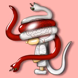 80626246280180343079720092385238387359112636916756671634898853476704100286465