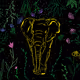 Elephant | Presence