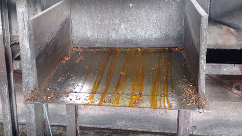 Item #9501492011993552100200174036132824050711189448859184710492527131191779786753 Media