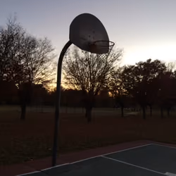 The Park 047