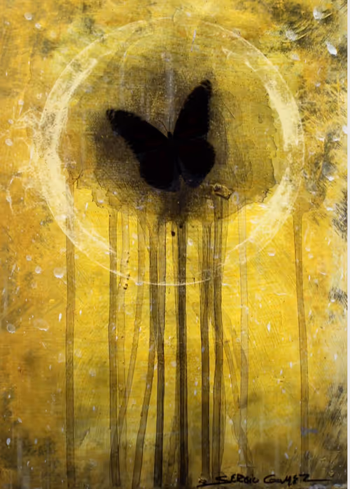 Item #76078761437384434168266985194328034504700176403405549946799938908987269840897 Media