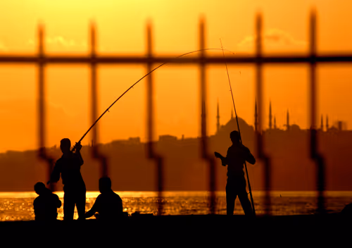 Item #96578766880217078611313821785465910127802058938618916549431102970037530525697 Media