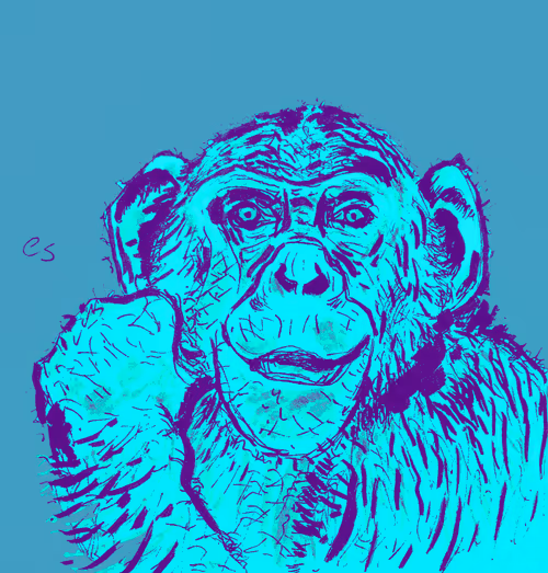 Item #39091703505809475788956350880894769302011138939225893693019847037677511639041 Media