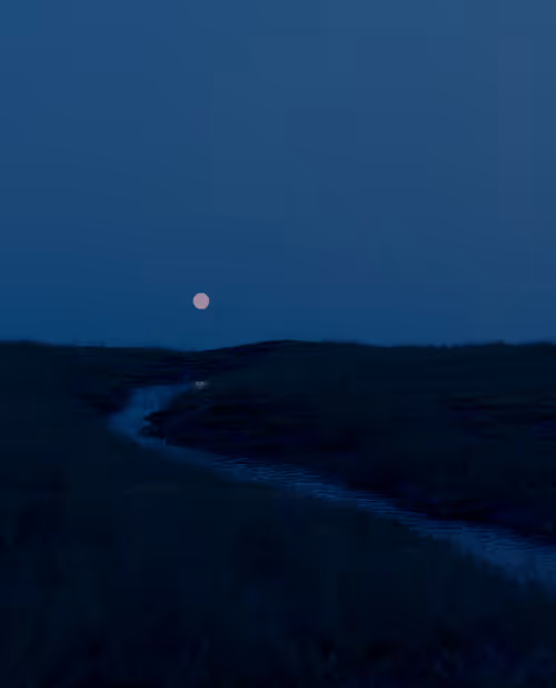 Item #23369975143873138697377485353468411413443616652002160298465161706817336639489 Media