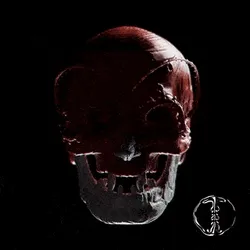 Skull Collector #215