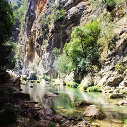 The way to paradise