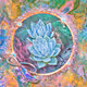 Mindful Meditations