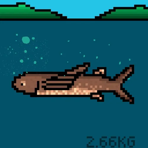BitFish #4