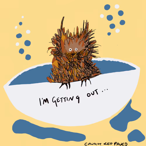 Item #8190719571610145789568542506567364700647027859008357845740195079496700788737 Media