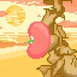 29186005980226048692422985619540938466988125519081229068962037929808242933761