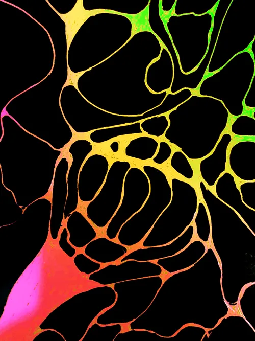 Item #60447415217477959408772772467770452871177809879771206339827648271482024361985 Media