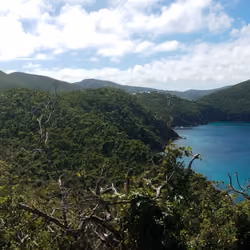 Atlantic Ocean & Caribbean Sea