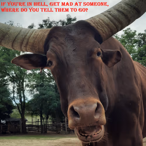 51313302132644519913343847646347811445510524411913136629935896363978008297473