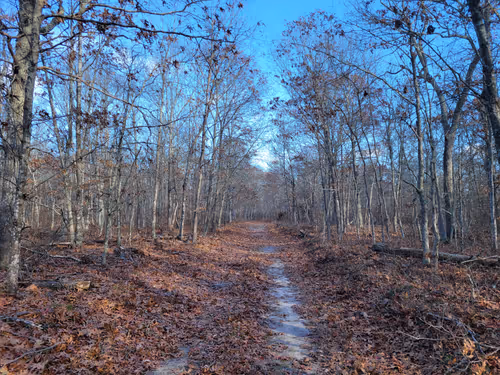 Item #34085441569699423005310991372941828806155687762378495952169943230761173778433 Media