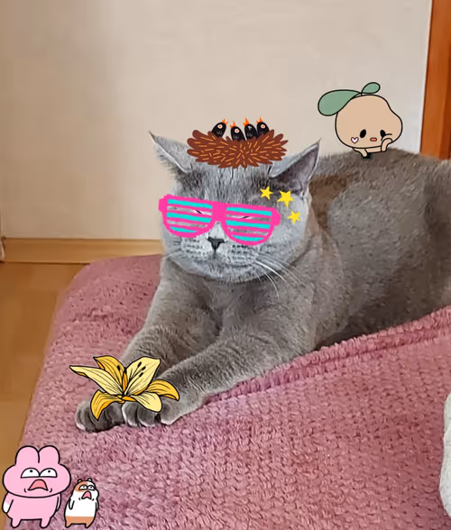 Item #90624209066332120889348659875997440133060424592807763007640671680324301750273 Media