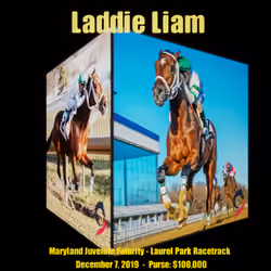 Laddie Liam - Wazuzu Racing Collection