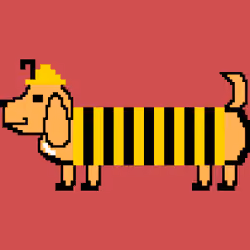 Dachshund #031