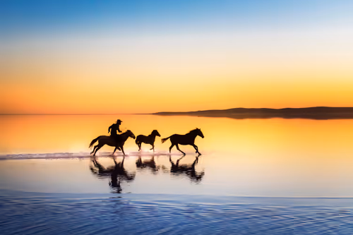 Item #4777519611929848657544171126836398990818391331015320598646886663287652483073 Media