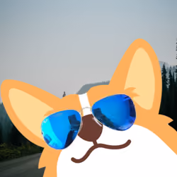 Camper Corgi