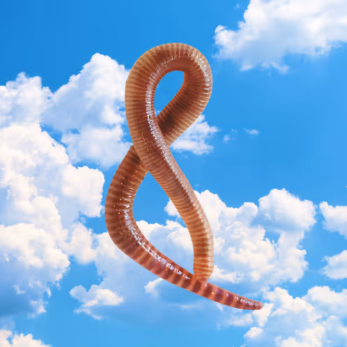 NFT Worm #138